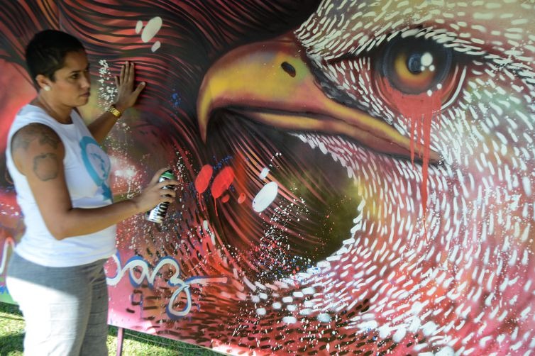 O resultado final das ilustrações mais curtidas na rede social será divulgado em 9 de julho - Fabio Rodrigues-Pozzebom 