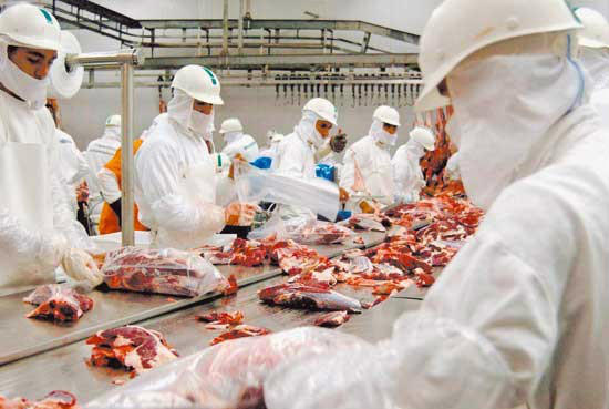 Mato Grosso do Sul exportou 9,4% do total de carne bovina do país em julho
