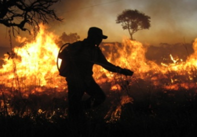 Em todo o ano passado, foram queimados 1,18 milhão de hectares em unidades de conservação federais de todo o PaísReprodução/Ibama