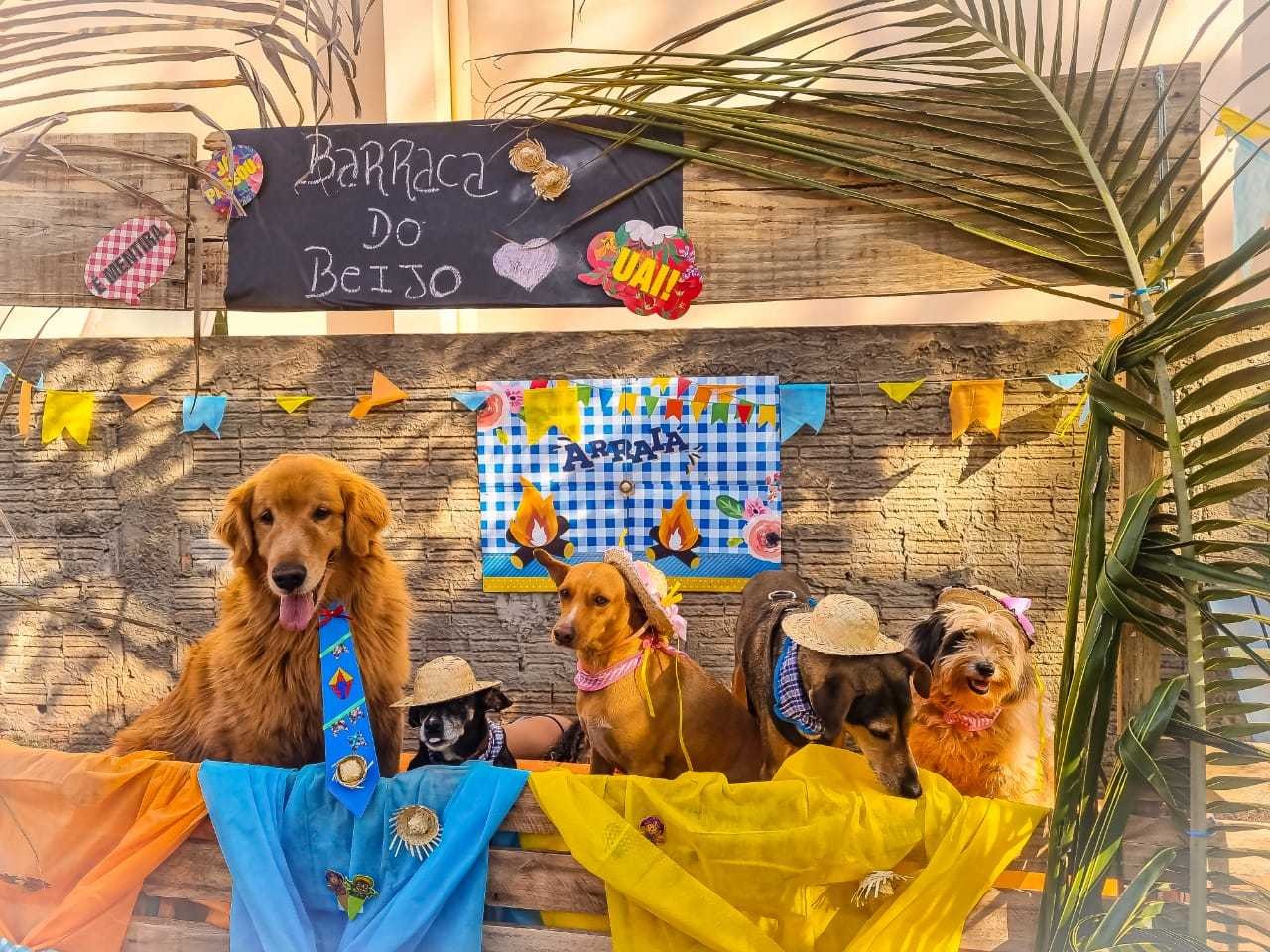 Cachorros ganham arraial exclusivo com traje e até a arroz “cãorreteiro” Foto:Divulgação
