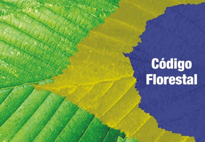 Código Florestal: parecer do relator prevê mudanças para recomposição de APP Código Florestal: parecer do relator prevê mudanças para recomposição de APP