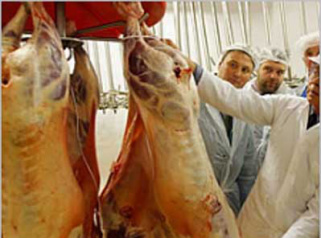 De olho na qualidade da produção de carne, MS repassa R$ 420 mil à Embrapa