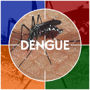 Nova ferramenta de avaliação do risco de dengue vai ampliar ações focadas de prevenção Nova ferramenta de avaliação do risco de dengue vai ampliar ações focadas de prevenção