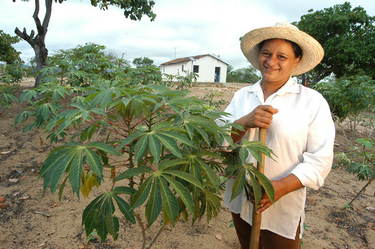 O fundo é uma reserva destinada a ajudar produtores de baixa renda que tenham sofrido perdas na lavoura