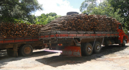 PMA autua infrator por transporte de madeira ilegal