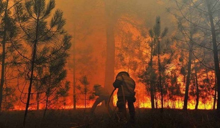 Estiagem e Incêndios: Governo decreta situação de emergência em todo o MS Foto: Arquivo Portal do MS, dezembro de 2020