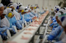Qualidade da carne brasileira é reconhecida internacionalmente Governo federal aumentou a fiscalização, realizou investigações e instalou controles ainda mais rígidos em todo o território nacionalFoto: Divulgação