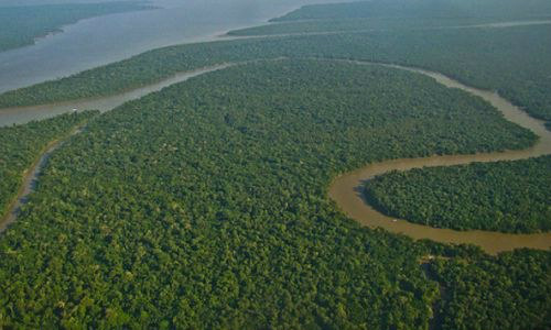 Em 10 anos, desmatamento na região da Amazônia Legal cai 82%
