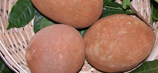 Oito frutas típicas do Brasil que fazem sucesso pelo mundo Cupuaçu.