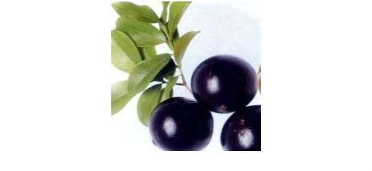 Oito frutas típicas do Brasil que fazem sucesso pelo mundo Jabuticaba.