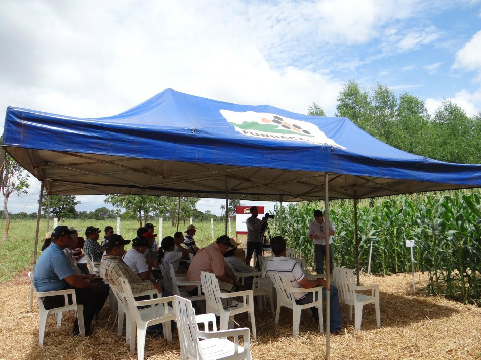 Fundação MS participa da Dinapec 2016 com mostra de tecnologias sobre ILP Fundação MS participa da Dinapec 2016 com mostra de tecnologias sobre ILP