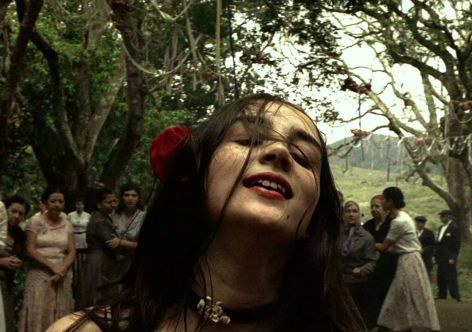 Maior mostra de cinema árabe no país comemora dez anos