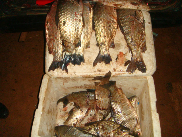 PMA prende três pescadores no rio Dourados