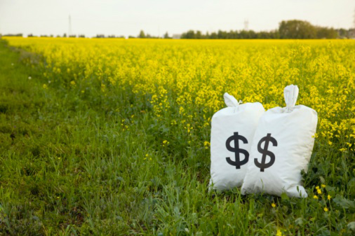 Ministros do Brics discutem desenvolvimento rural