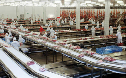 Emprego formal cresceu 5,34% em Mato Grosso do Sul em 2012 Emprego formal cresceu 5,34% em Mato Grosso do Sul em 2012