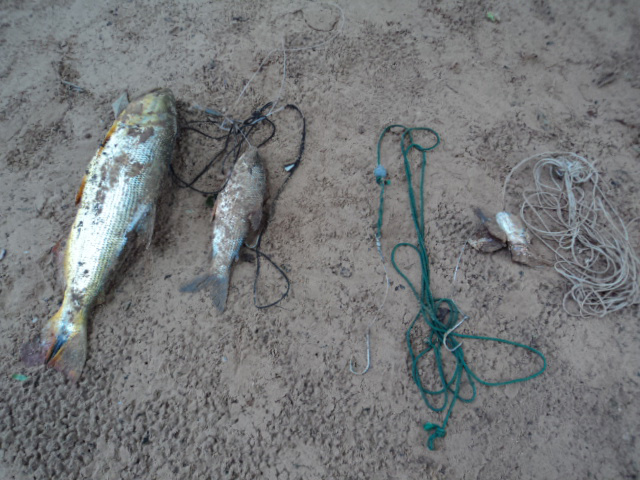 Peixes e petrechos apreendidos pela Polícia Militar Ambiental.