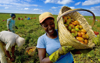 Com o encontro, a Prefeitura de Dourados quer estimular os pequenos produtores e mostrar como a agricultura familiar é importante na economia brasileira