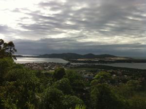 4% do território de Santa Catarina é coberto por florestas que estão regenerando 4% do território de Santa Catarina é coberto por florestas que estão regenerando
