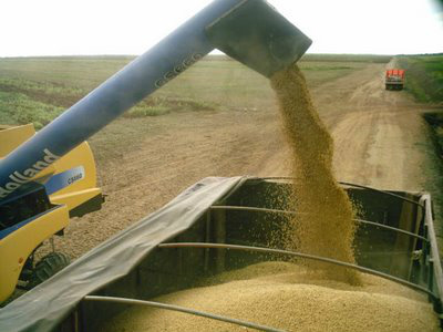 Frete de soja poderá ficar 50% mais caro no auge da safra