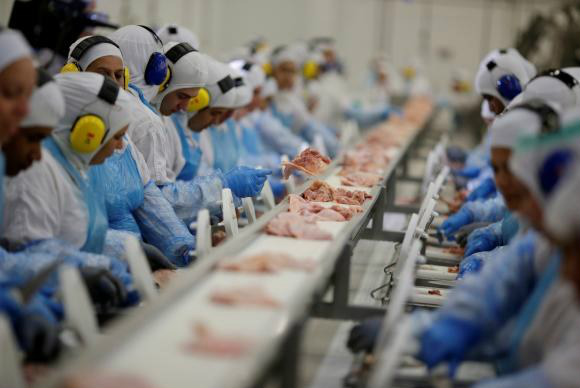 Ministério cancela três registros de frigoríficos Cancelamentos estão entre os 21 frigoríficos sob suspeita e investigados pela Operação Carne FracaFoto: Divulgação