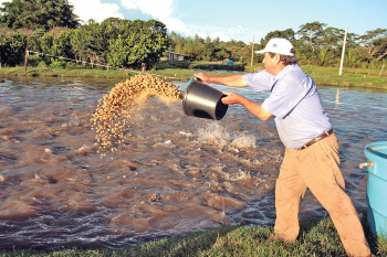 Estado terá R$ 150 milhões para expandir produção de pescado