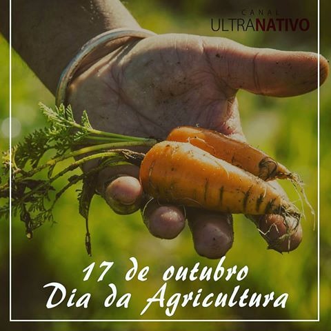 17 de Outubro -Dia da Agricultura Foto: Divulgação