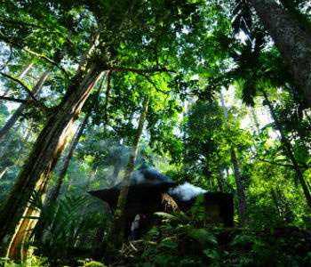 Foto: ONU/Eva Fendiaspara
