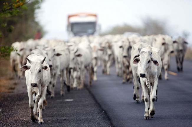 Pelo período de 10 dias, técnicos brasileiros tiveram reuniões com o Senacsa e visitaram os três frigoríficos do país vizinho