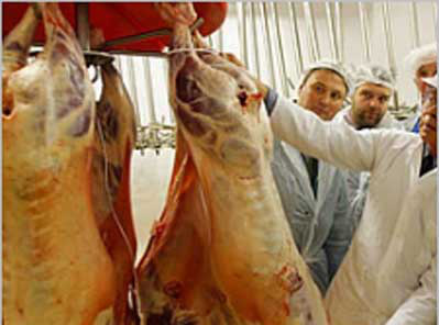 Exportação de carne bovina de MS para o Irã triplica em 2014