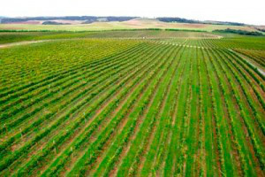 Em 2013, plano defendeu a melhoria das condições de logística e infraestrutura. Foto: Divulgação