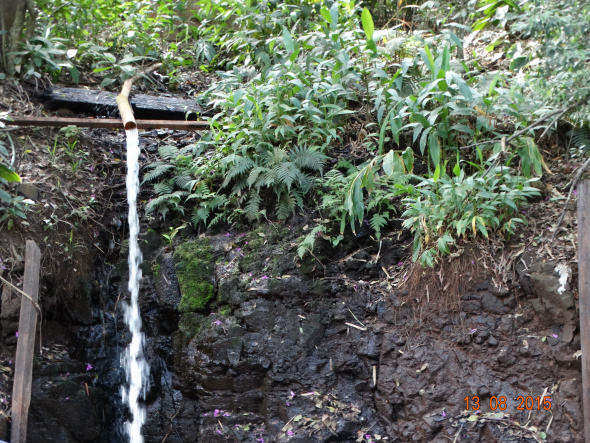 A Bica do Pedro Couto está localizada nas proximidades da vila Jussara / Foto: Assessoria