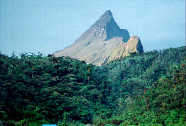 IBGE revê altitude de sete picos brasileiros: o da Neblina fica mais alto
