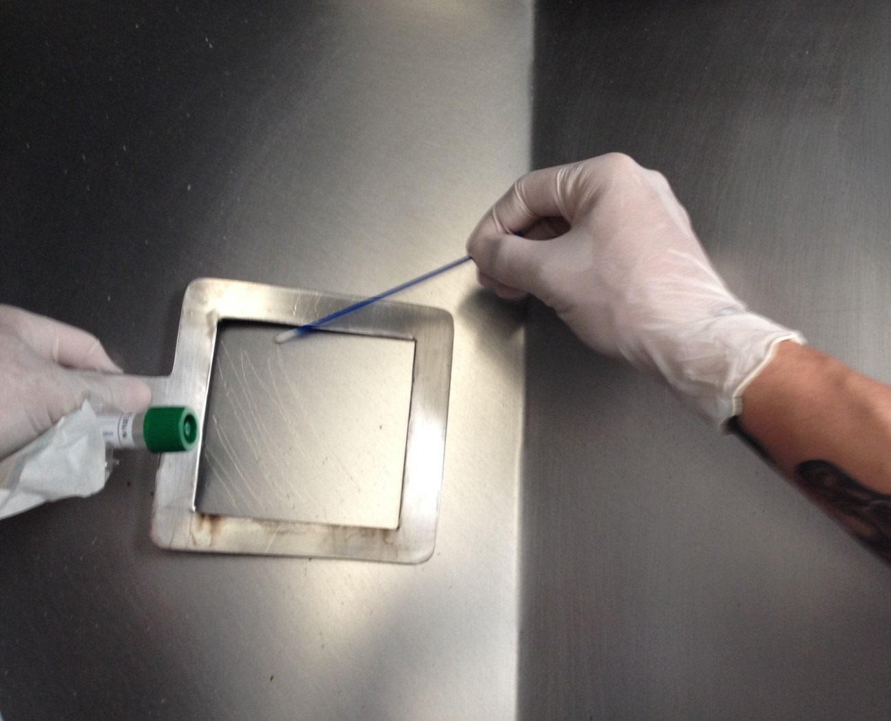 A coleta adequada é o primeiro passo para obter um diagnóstico preciso e confiável / Foto: Divulgação