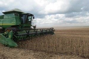 Fundação MS estará na Bienal da Agricultura