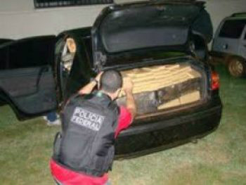 PF intercepta carregamento com quase 1t de maconha