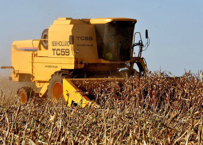 Caixa anuncia medidas para agilizar liberação de crédito rural em todo o País As ações do banco também incluem a digitalização dos processos de crédito, diminuindo a burocraciaFoto: Valter Campana/Agência Brasil