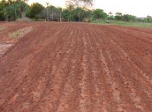 MS terá unidade de produção de adubos verdes