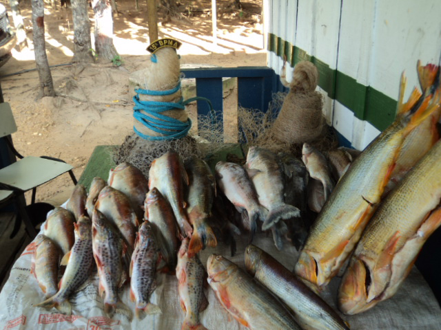 PMA prende pescador e tem que socorrer sua mulher que passa mal durante a prisão
