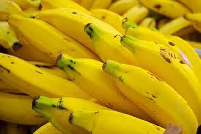 Banana: Mais cinco municípios do MS estão livres da praga Sigatoka Negra Banana: Mais cinco municípios do MS estão livres da praga Sigatoka Negra
