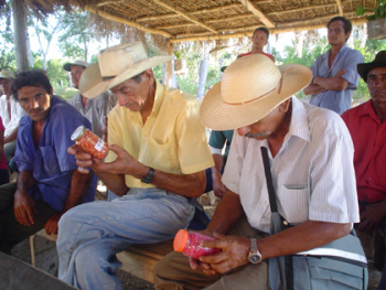 FAF realiza 6ª Feira Estadual de Sementes Crioulas em dezembro