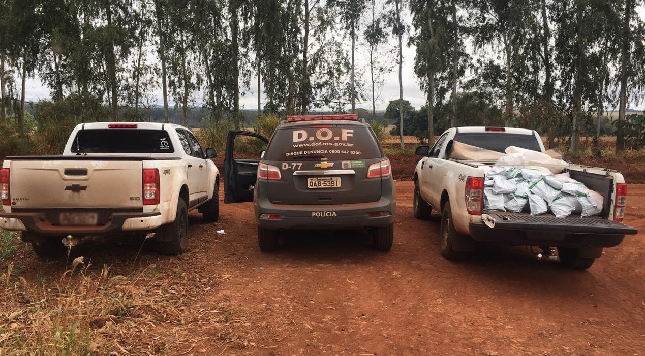 Agrotóxicos contrabandeados do Paraguai foram apreendidos em Laguna Carapã Policiais do DOF abordaram a camionete e localizaram o agrotóxico contrabandeado Foto: Divulgação