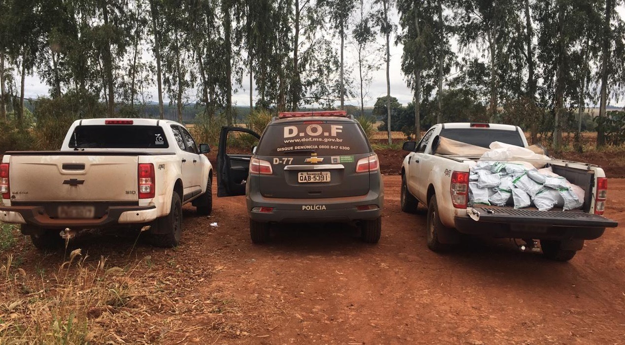 Policiais do DOF abordaram a camionete e localizaram o agrotóxico contrabandeado  Foto: Divulgação