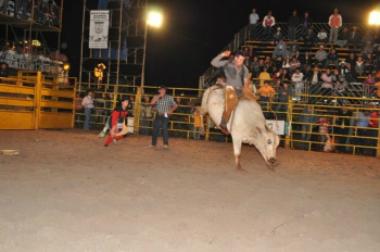 Sindicato Rural de Aral Moreira define últimos detalhes da 3ª Expoaral Uma das atrações será o rodeio com montarias em touros.