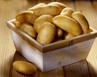 Oito comidas venenosas que você adora comer