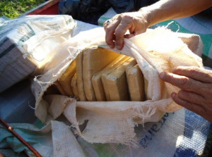 Imagem: Secretaria Nacional Antidrogas (SENAD)