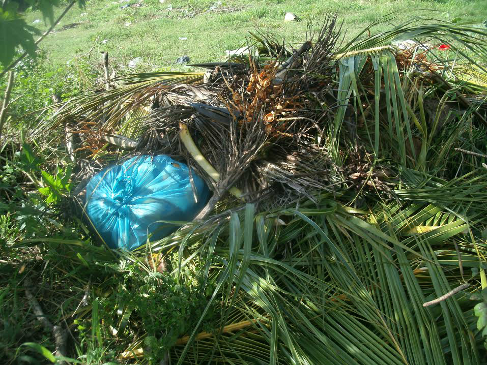 PMA autua homem que descarregava carga de lixo em frente escola de Corumbá