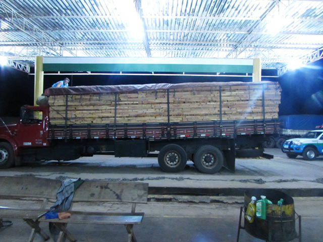 PMA apreende carga de madeira ilegal e aplica multa de R$ 8,1 mil