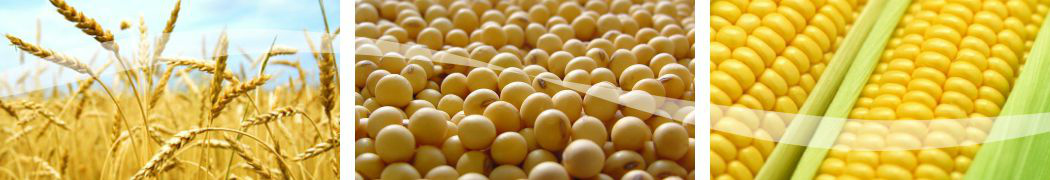 Cotação de produtos agrícolas em Mato Grosso do Sul