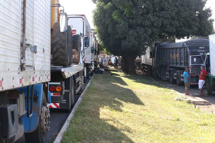 Senado aprova MP que fixa frete e dá anistia a caminhoneiros Pelo texto, tabela do frete deve ser publicada duas vezes no ano (Valter Campanato/Arquivo/Agência Brasil)