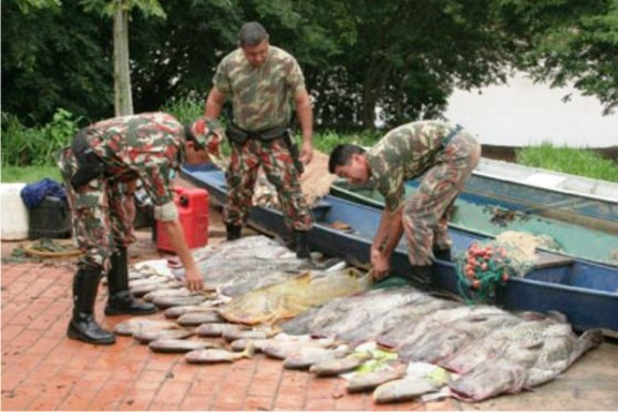 Operação Piracema já autuou 39 pessoas e aplicou quase R$ 60 mil em multas Operação Piracema já autuou 39 pessoas e aplicou quase R$ 60 mil em multas